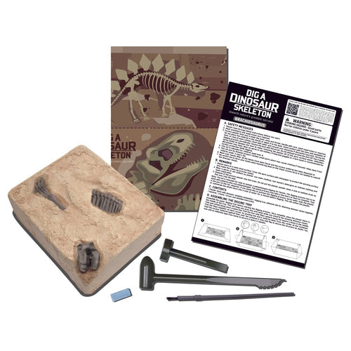 4M Kidz Labs - ایک Brachiosaurus Skeleton Kit کھودیں۔ 8 سال سے زیادہ عمر کے بچوں کے لیے سائنس سیٹ 