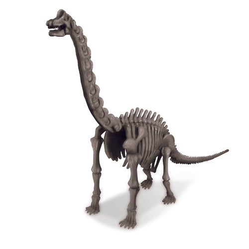 4M Kidz Labs - ایک Brachiosaurus Skeleton Kit کھودیں۔ 8 سال سے زیادہ عمر کے بچوں کے لیے سائنس سیٹ 