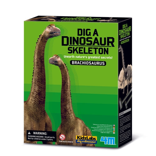 4M Kidz Labs - ایک Brachiosaurus Skeleton Kit کھودیں۔ 8 سال سے زیادہ عمر کے بچوں کے لیے سائنس سیٹ 