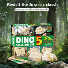 Load image into Gallery viewer, 5 in 1 Dinosaur Dig Kit  Digging and Excavation of Dino Skeleton and Fossils | Science Set for Kids Age 6+
