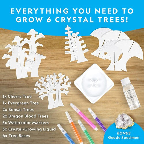 National Geographic Crystal Forest | Grow 6 Crystal Trees in Just 6 Hours | Science Educational Craft Kit with Art Supplies for Kids Age 8+