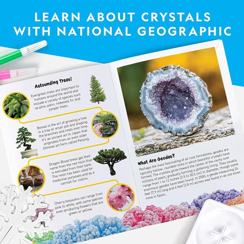 National Geographic Crystal Forest | Grow 6 Crystal Trees in Just 6 Hours | Science Educational Craft Kit with Art Supplies for Kids Age 8+