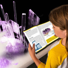 تحميل الصورة في عارض المعرض ، Carded Purple Crystal Lab | مجموعة العلوم من ناشيونال جيوغرافيك للأطفال من سن 8+
