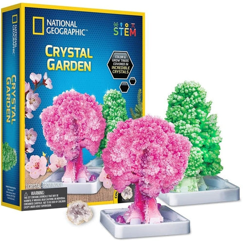 Crystal Growing Garden | Science kit by National Geographic | Age 6+