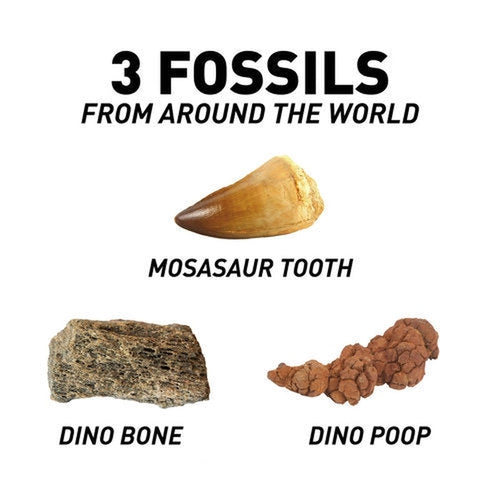 Dinosaur Dig KIT | Genuine Dinosaurs Fossils Science Set by National Geographic | Age 8+