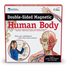 Load image into Gallery viewer, Double-Sided Magnetic Human Body | Set of 17 magnetic pieces Science set by Learning Resources US | Age 5+
