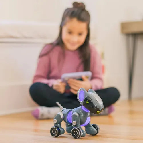 PYXEL - Coder’s Best Friend | STEM Coding Robot by Educational Insights for Kids Ages 8+