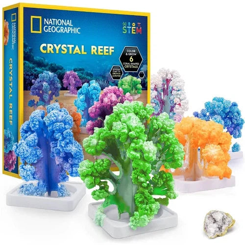 National Geographic Crystal Reef | Grow 6 awesome coral shapes | Science Educational Craft Kit with Art Supplies for Kids Age 8+