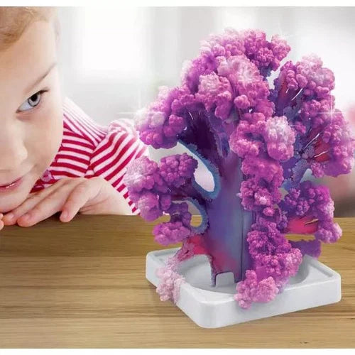 National Geographic Crystal Reef | Grow 6 awesome coral shapes | Science Educational Craft Kit with Art Supplies for Kids Age 8+