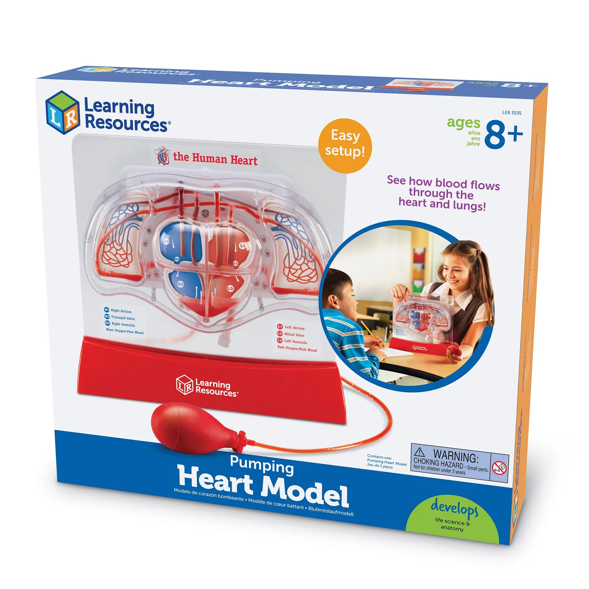 Pumping Heart Model - LER3535 | Science Educational Set by Learning Resources for Kids Age 8+