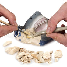 تحميل الصورة في عارض المعرض ، طقم حفر أسنان القرش | حفر 3 أحافير قرش حقيقية بواسطة ناشيونال جيوغرافيك | سن 8 سنوات فأكثر
